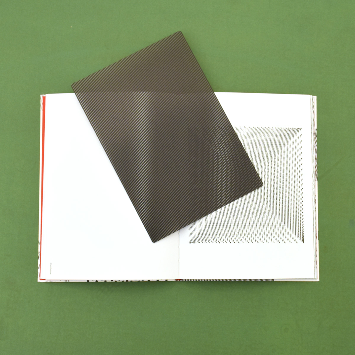 Moirémotion –Takahiro Kurashima - 0