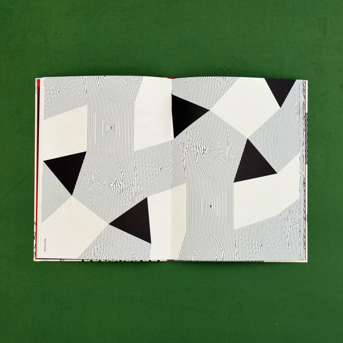 Moirémotion –Takahiro Kurashima - 3