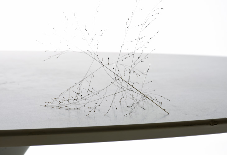 Saarinen Tulip Tisch - 0