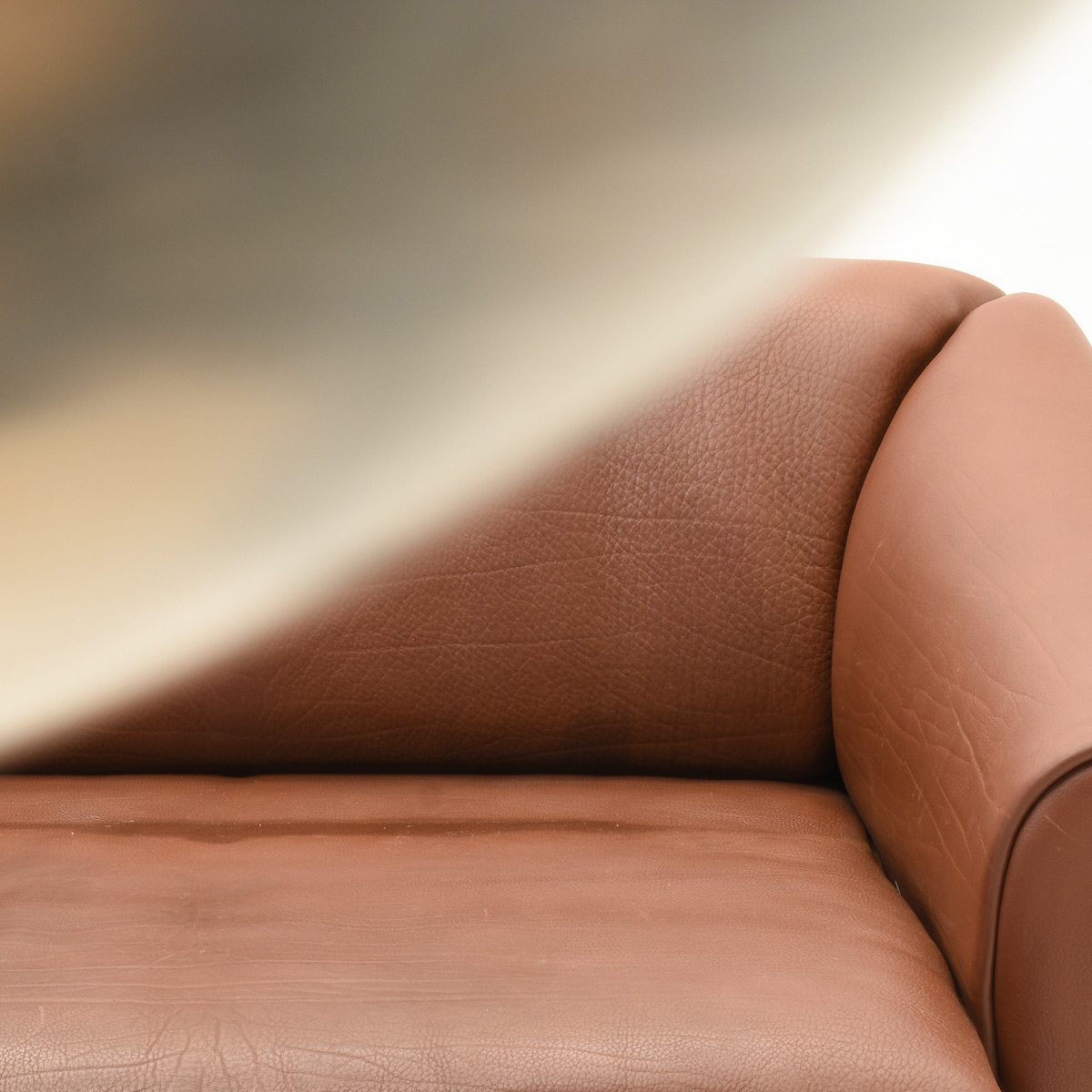 Sofa, Büffelleder DS47 - 2